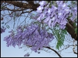 Click to display the file, DSCF0020.JPG
