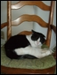Click to display the file, DSCF0021.JPG