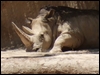 Click to display the file, DSCF0046.JPG