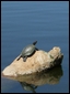 Click to display the file, DSCF0065.JPG