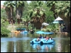Click to display the file, DSCF0066.JPG