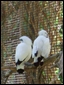 Click to display the file, DSCF0073.JPG